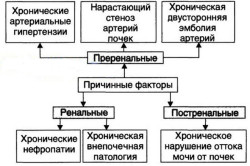 Хронічна ниркова недостатність лікування, симптоми