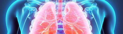 Boli ale sistemului respirator