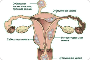 7 Корисних властивостей акулячого сквалена