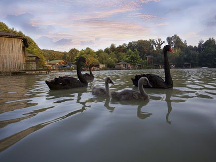 Lacul Achigvara - centru de recreere în Adler