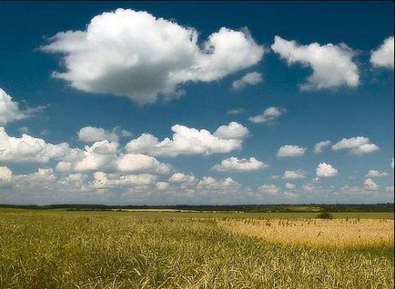 Аерографія на стінах своїми руками - 17 жовтень 2012 - будівництво будинків, ремонт квартир в