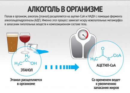 Алкоголь і схуднення, бомба тіло