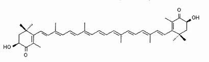 Астаксантин - найпотужніший природний антиоксидант