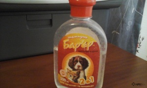 Бар'єр (шампунь) для собак і кішок, відгуки про застосування препаратів для тварин від ветеринарів і