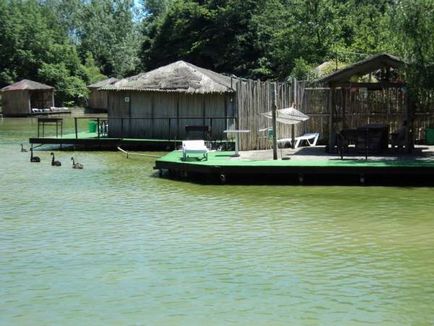 База відпочинку ачігварское озеро в Адлері опис, особливості та відгуки