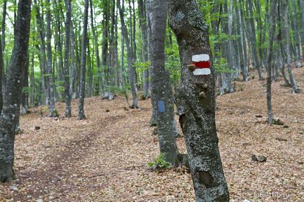 Чатир Даг і Еклізі-бурун - похід одного дня з Алушти