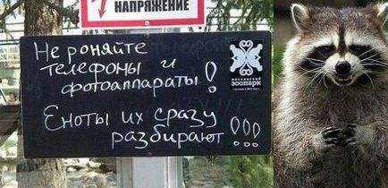 Haide, catelus! Dzhigurda aproape că nu a luptat cu gazda în emisiunea TV