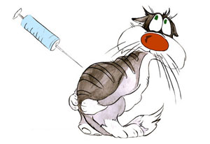 Deworming és oltási és macskák cicák
