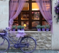 Decor nunta în stilul de Provence are o vacanță și o paletă