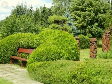 Dendropark în Harkov