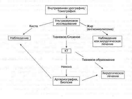 Diagnosticarea formării volumetrice a rinichilor