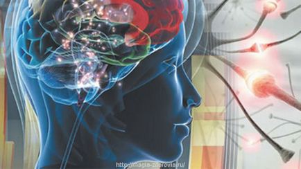 A diagnózis epilepszia, agyi rendellenesség