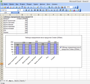 Diagrama din programul Excel 2003