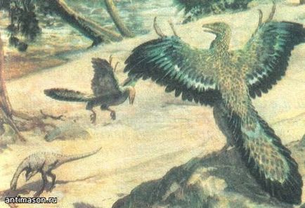 Dino sapiens sau stenonichosaurus