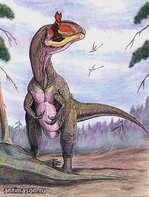 Dino sapiens vagy stenonihozavr