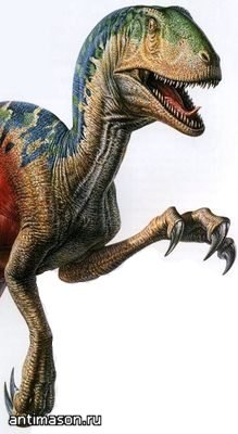 Dino sapiens sau stenonichosaurus