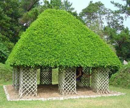 A ház fából készült - élő kerti bútorok - a móka!