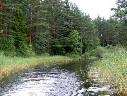 пам'ятки Селігеру