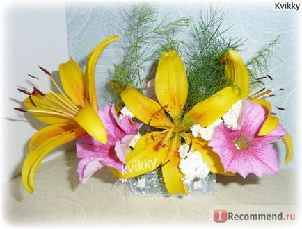Virág hab Ltd. legjobb áron - „egy jó ötlet egy nyáron egy fix áron! Szivacs létrehozása