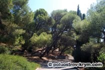 Parcul Foros, parcuri, grădini Crimeea, obiective turistice din Crimeea