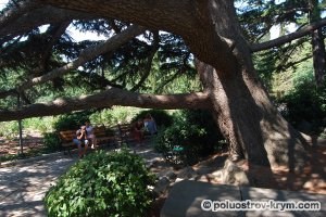 Parcul Foros, parcuri, grădini Crimeea, obiective turistice din Crimeea