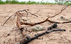 Fort Ino (Miklós), a Finn-öböl - Leningrád, a leningrádi régióban - a térképen