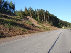 Fort ino (Nicholas) în Golful Finlandei - regiunea Leningrad, regiunea Leningrad - pe hartă