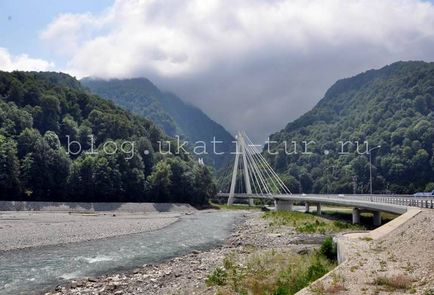 Fotografii care nu recunosc imediat poiana roșie