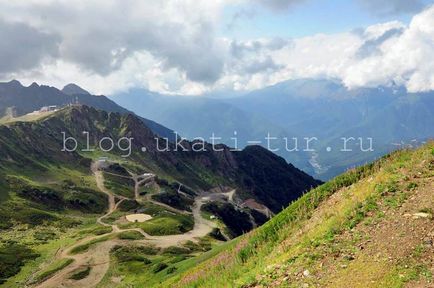 Фотографії, на яких не відразу впізнаєш червону поляну