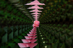 Фото рекурсія, ефект нескінченності онлайн - img online