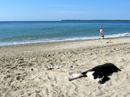 Unde să vă relaxați pe Adler sau Abhazia