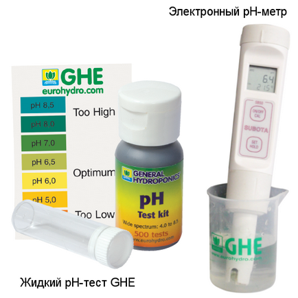 Hydroponics cum să controleze nivelul pH al soluției nutritive