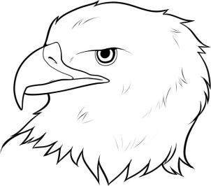 Eagle главата молив на етапи - как да се направи главата на коня чертеж на крачка конска глава по стъпка