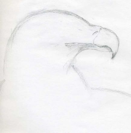 Capul unui vultur într-un creion pas cu pas - cum să atragă capul unui cal în timp ce trage capul unui cal în trepte