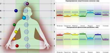 Diagnosticarea BGG a câmpului bio