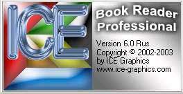 Ice book reader professional 6
