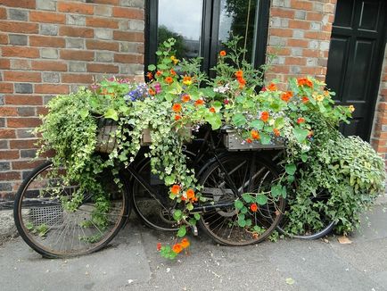 Idei pentru proiectarea plantelor cu flori, paturi