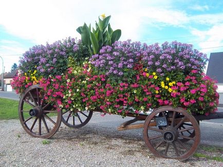 Idei pentru proiectarea plantelor cu flori, paturi