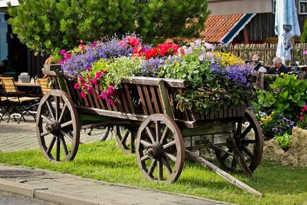 Idei pentru proiectarea plantelor cu flori, paturi