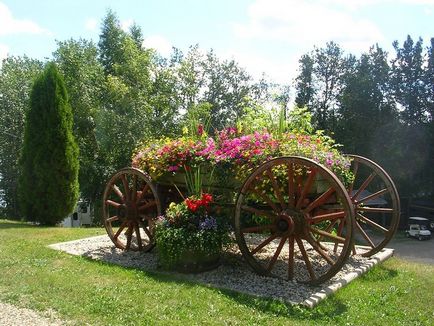 Idei pentru proiectarea plantelor cu flori, paturi