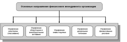 Ії фінансового менеджменту