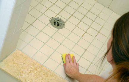 Cum să se ocupe de mucegai în baie, remedii populare, instrucțiuni video
