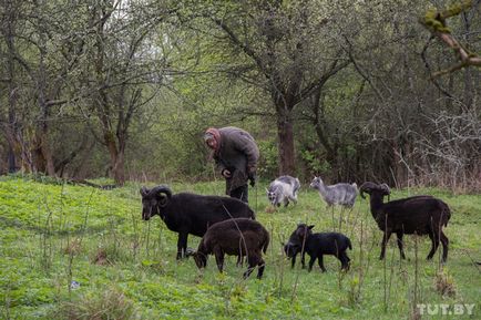 Як доживає свій вік село старообрядців під вітебському