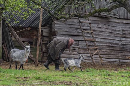 Amint eléri a kor a óhitűek Village közelében Vityebszk