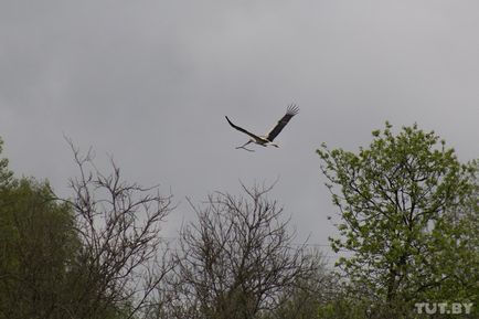 Amint eléri a kor a óhitűek Village közelében Vityebszk