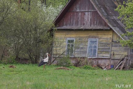 Cum satul vechi al credincioșilor din Vitebsk