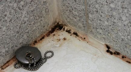 Cum să scapi de mucegai în baie cum să elimini țigle pe cusături, cum să aducă umiditatea, ciuperca în
