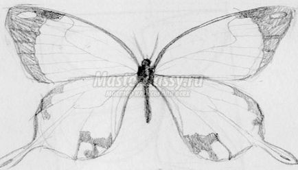Як намалювати метелика покроковий майстер-клас