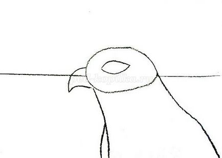 Cum de a desena o guașă de falci pentru copii de la 5 ani în etape cu o fotografie