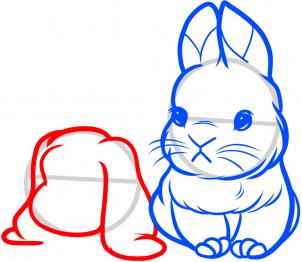 Cum să desenezi un iepure în etape